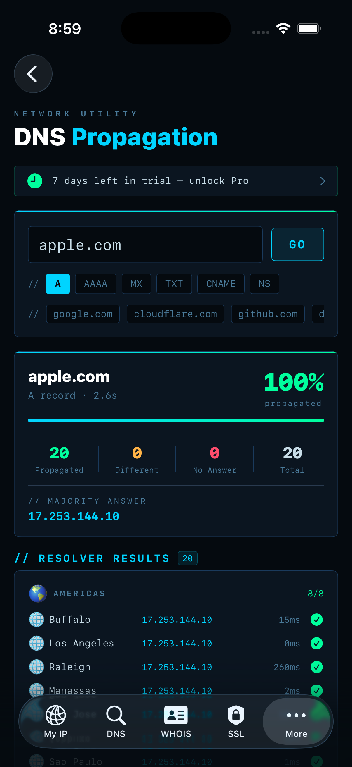 IPSuite DNS Propagation — 100% across 20 global resolvers