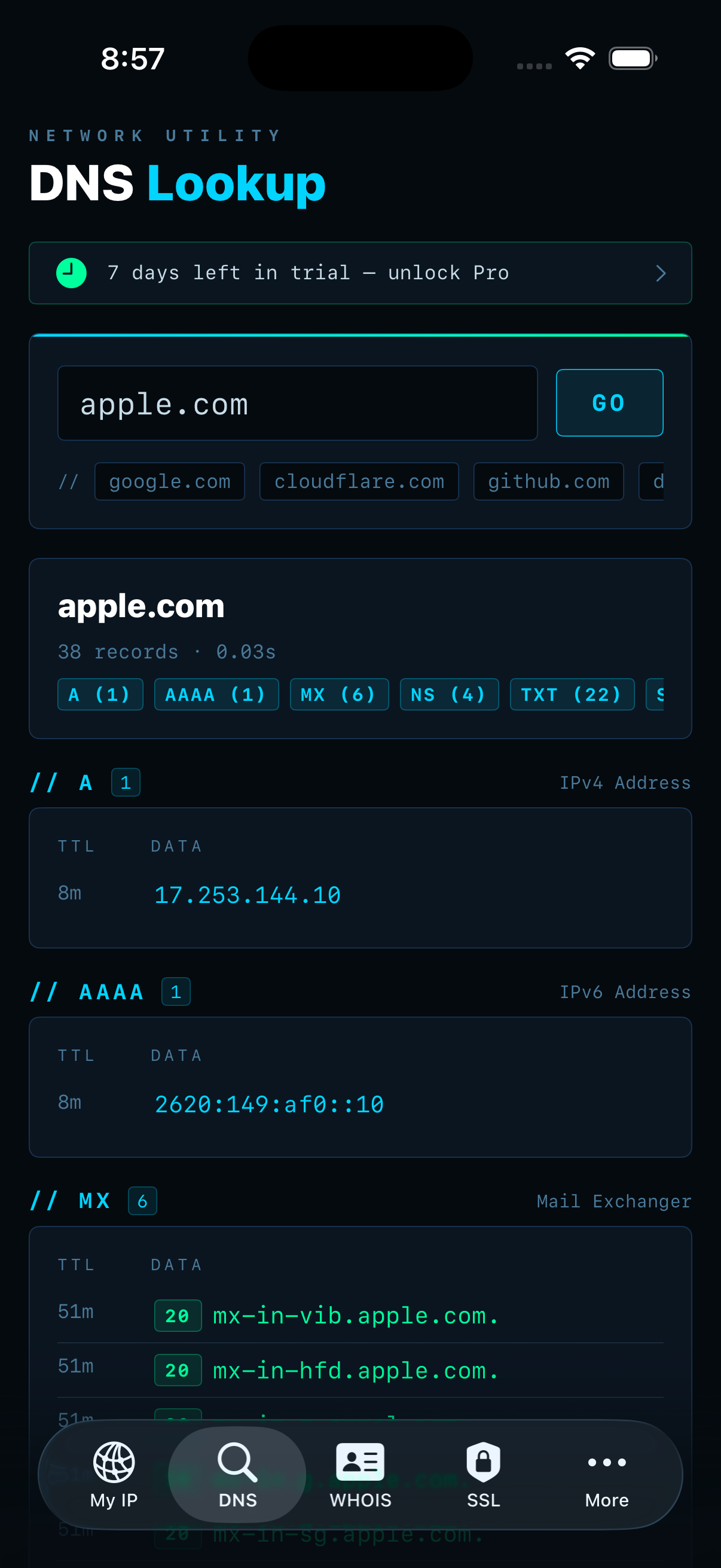 IPSuite DNS Lookup — apple.com A, AAAA, MX, NS and TXT records